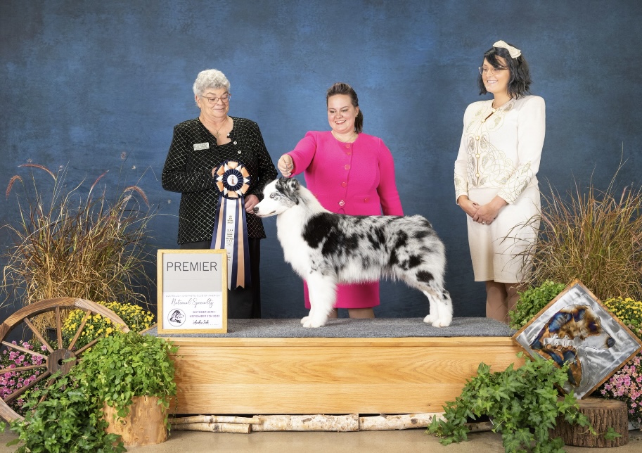 859e7828-c388-4395-838c-9c615b9d7b15