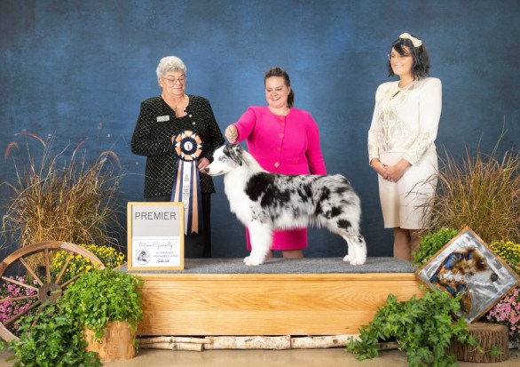 859e7828-c388-4395-838c-9c615b9d7b15